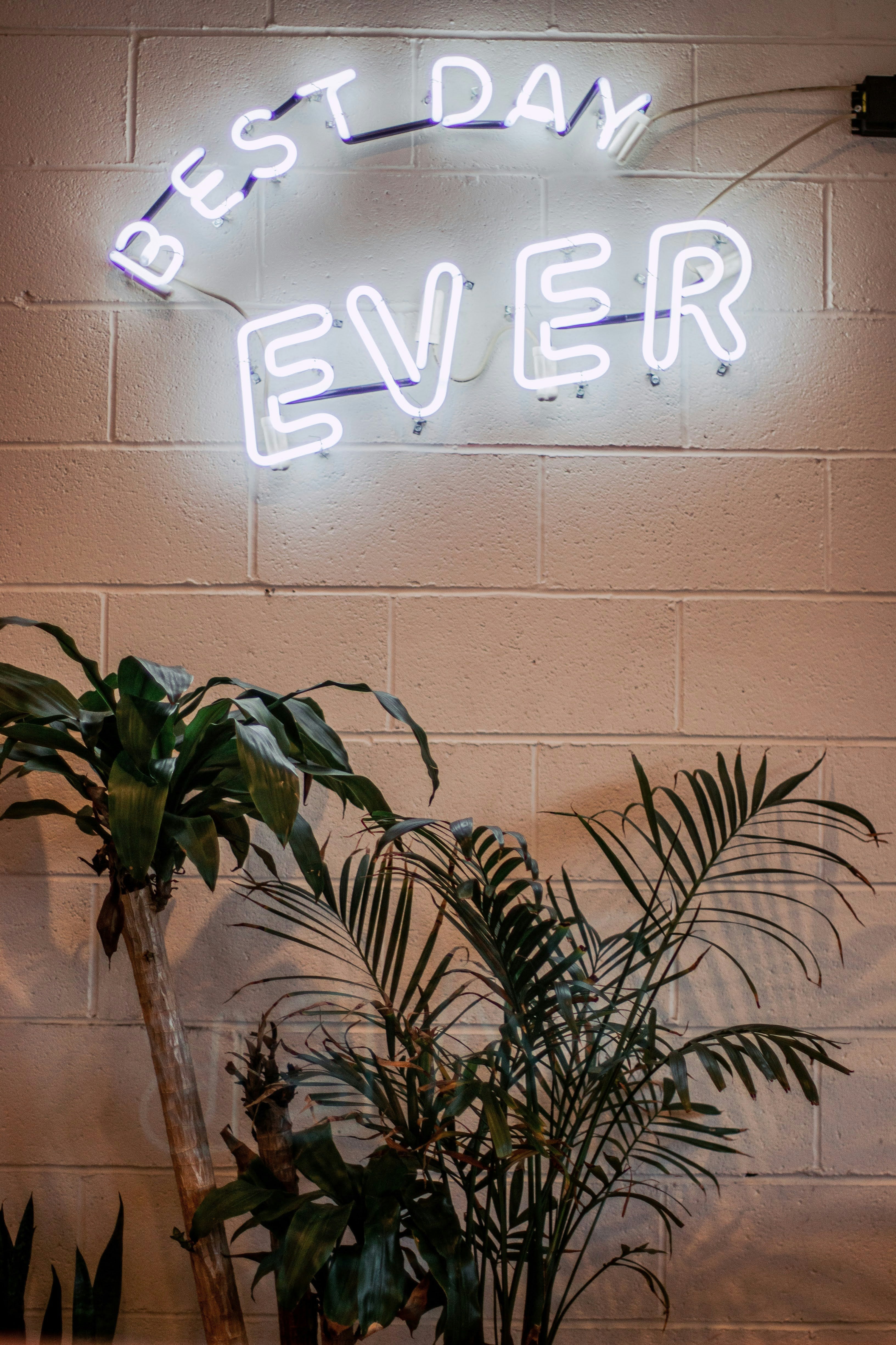 Neon Schriftzüge für Events, Shops und Zuhause: So geht es