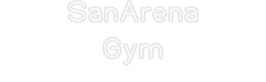 Custom Neon Sign SanArena
Gym